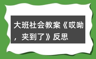 大班社會(huì)教案《哎呦，夾到了》反思