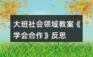 大班社會(huì)領(lǐng)域教案《學(xué)會(huì)合作》反思