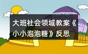 大班社會領域教案《小小泡泡糖》反思