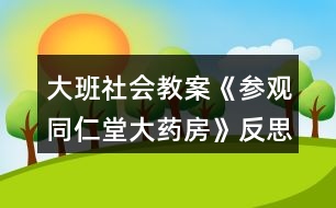 大班社會教案《參觀同仁堂大藥房》反思