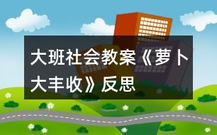 大班社會教案《蘿卜大豐收》反思