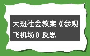 大班社會教案《參觀飛機場》反思