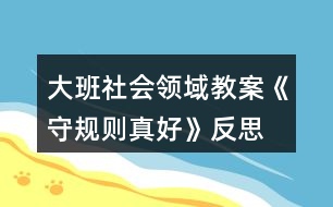 大班社會領域教案《守規(guī)則真好》反思