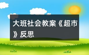 大班社會教案《超市》反思