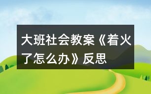 大班社會教案《著火了怎么辦》反思