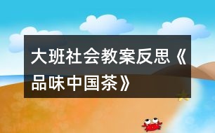 大班社會(huì)教案反思《品味中國茶》