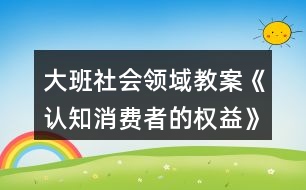 大班社會領域教案《認知消費者的權益》反思