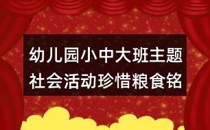 幼兒園小中大班主題社會活動珍惜糧食銘記袁隆平爺爺教案反思