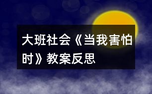 大班社會(huì)《當(dāng)我害怕時(shí)》教案反思