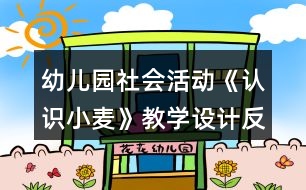 幼兒園社會活動(dòng)《認(rèn)識小麥》教學(xué)設(shè)計(jì)反思