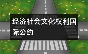 經(jīng)濟、社會、文化權(quán)利國際公約