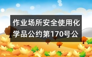 作業(yè)場(chǎng)所安全使用化學(xué)品公約（第170號(hào)公約）