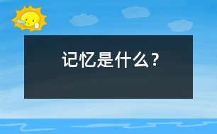 記憶是什么？