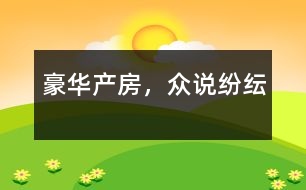 豪華產(chǎn)房，眾說紛紜