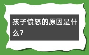 孩子憤怒的原因是什么？