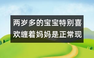 兩歲多的寶寶特別喜歡纏著媽媽是正?，F(xiàn)象