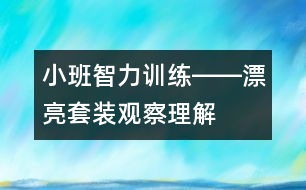 小班智力訓練――漂亮套裝（觀察、理解、判斷、語言）