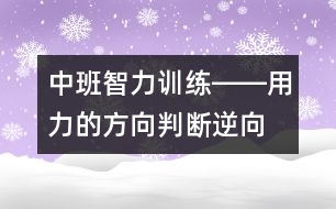 中班智力訓練――用力的方向（判斷、逆向思維、動作知覺、語言）