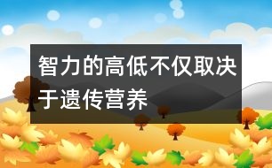 智力的高低不僅取決于遺傳、營(yíng)養(yǎng)