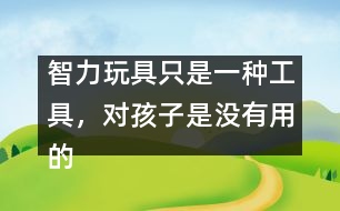 智力玩具只是一種工具，對孩子是沒有用的――王文革回答