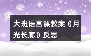 大班語(yǔ)言課教案《月光長(zhǎng)廊》反思