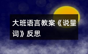 大班語言教案《說量詞》反思