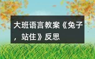 大班語言教案《兔子，站住》反思