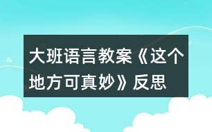 大班語言教案《這個地方可真妙》反思