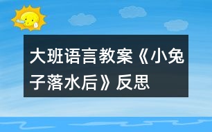 大班語言教案《小兔子落水后》反思