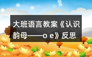 大班語言教案《認識韻母――o e》反思