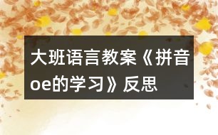 大班語(yǔ)言教案《拼音o、e的學(xué)習(xí)》反思