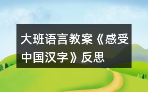 大班語言教案《感受中國漢字》反思