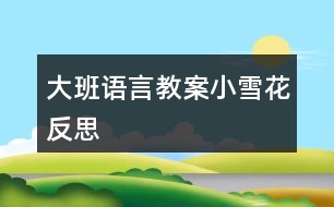 大班語言教案小雪花反思