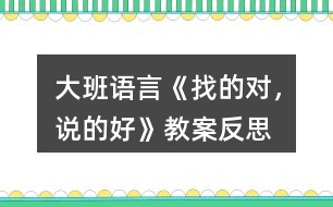 大班語言《找的對，說的好》教案反思