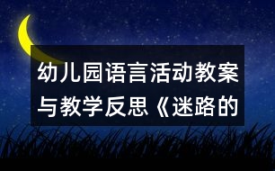 幼兒園語言活動教案與教學(xué)反思《迷路的小鴨子》