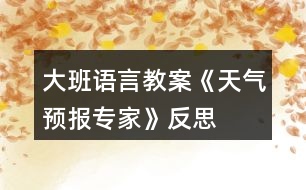 大班語言教案《天氣預報專家》反思