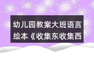 幼兒園教案大班語(yǔ)言繪本《收集東收集西》反思