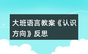 大班語(yǔ)言教案《認(rèn)識(shí)方向》反思