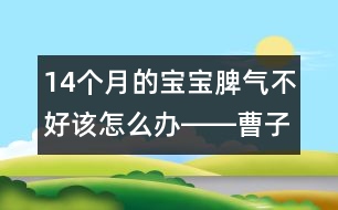 14個(gè)月的寶寶脾氣不好該怎么辦――曹子芳回答