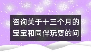 咨詢關(guān)于十三個(gè)月的寶寶和同伴玩耍的問題