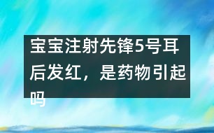 寶寶注射先鋒5號(hào)耳后發(fā)紅，是藥物引起嗎