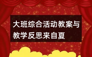 大班綜合活動(dòng)教案與教學(xué)反思——來自夏天的故事