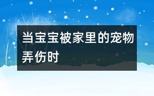 當寶寶被家里的寵物弄傷時