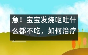 急！寶寶發(fā)燒嘔吐什么都不吃，如何治療――康宏回答