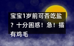 寶寶1歲前可否吃鹽？十分困惑！急！插有雞毛的求助信！??！