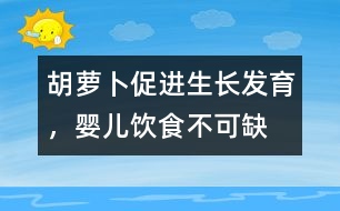 胡蘿卜促進(jìn)生長(zhǎng)發(fā)育，嬰兒飲食不可缺