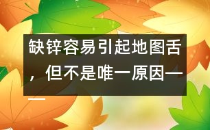 缺鋅容易引起地圖舌，但不是唯一原因――洪昭毅回答