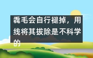 毳毛會自行褪掉，用線將其拔除是不科學(xué)的