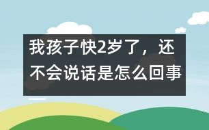 我孩子快2歲了，還不會(huì)說話是怎么回事――林茅回答