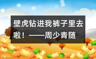 “壁虎”鉆進我褲子里去啦！――周少青隨筆兩篇